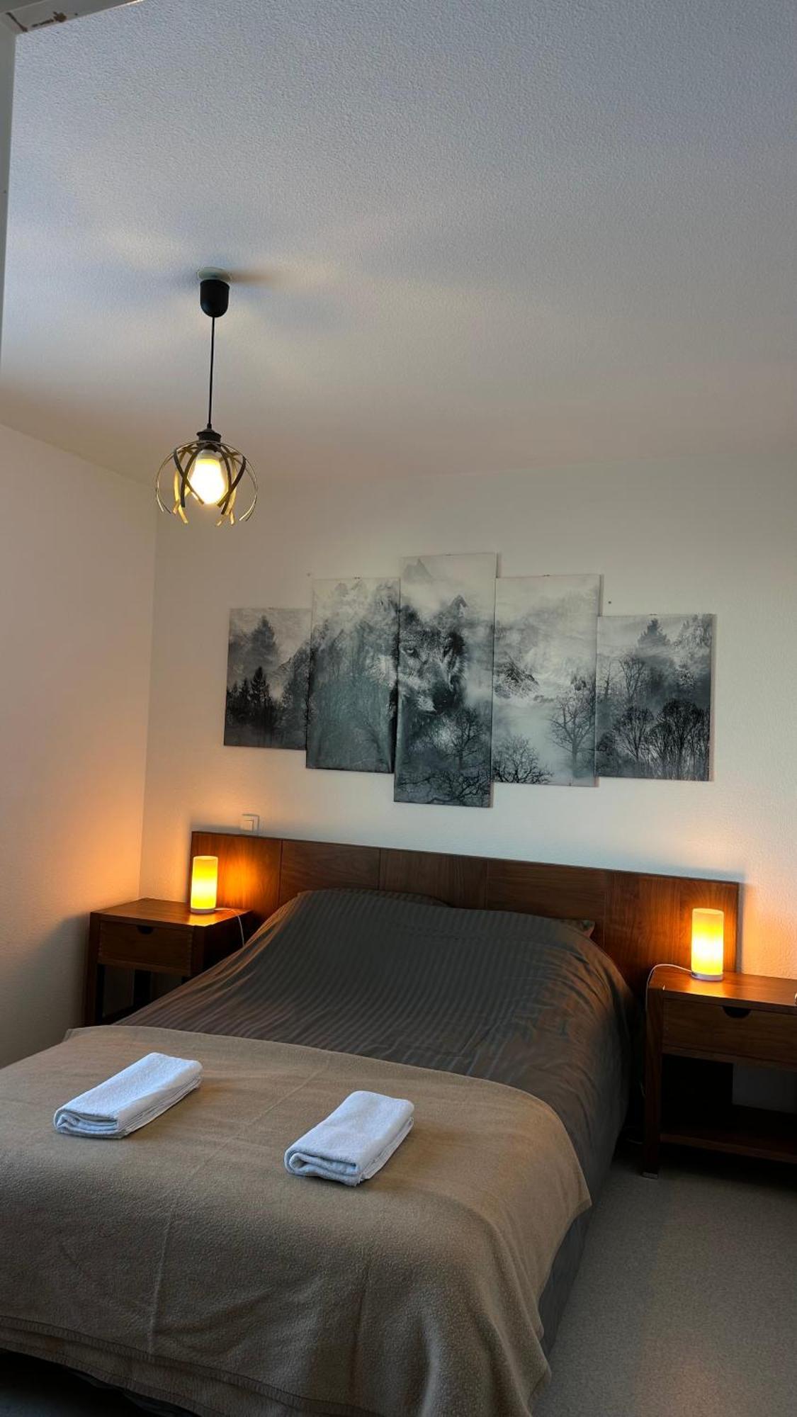 Appartements Du Pic D'Anie Arette Εξωτερικό φωτογραφία