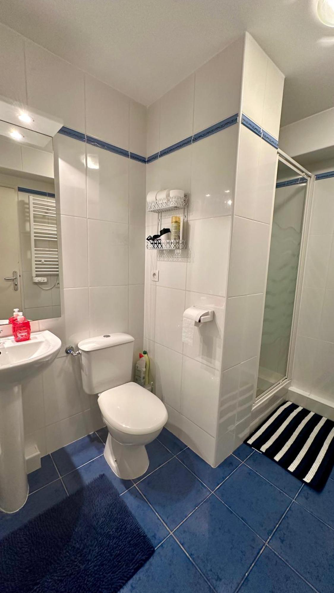Appartements Du Pic D'Anie Arette Εξωτερικό φωτογραφία