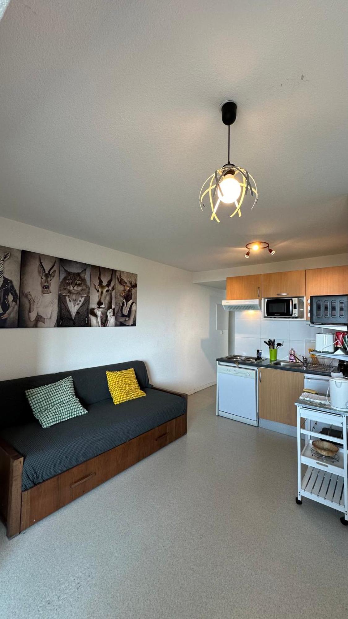 Appartements Du Pic D'Anie Arette Εξωτερικό φωτογραφία